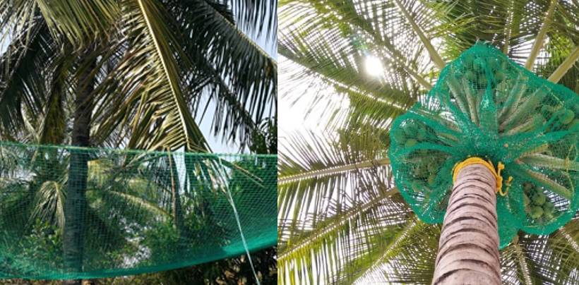 Coconut Tree Safety Nets In Hyderabad  | Call 9789148145 for Fall Arrest Nets Fixing